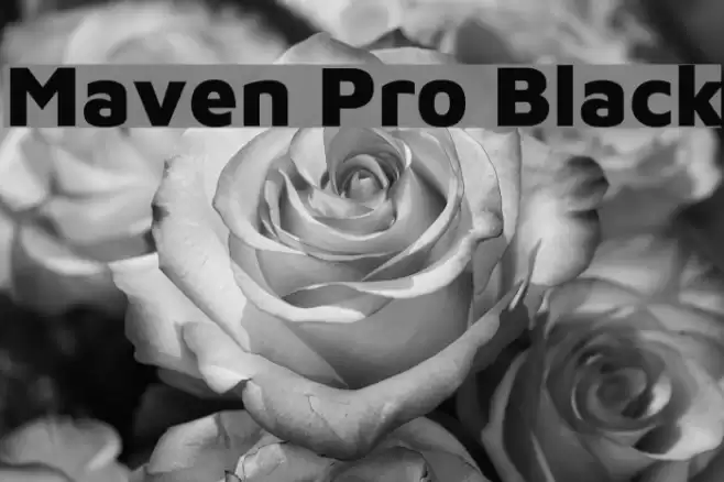 Maven Pro Black Font examples