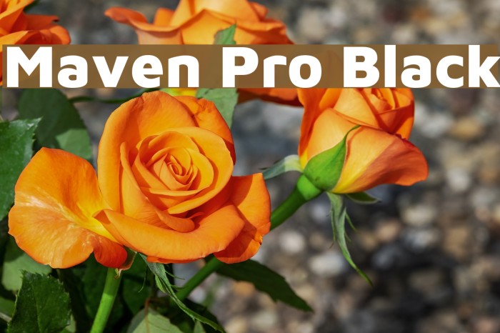 Maven Pro Black Font examples