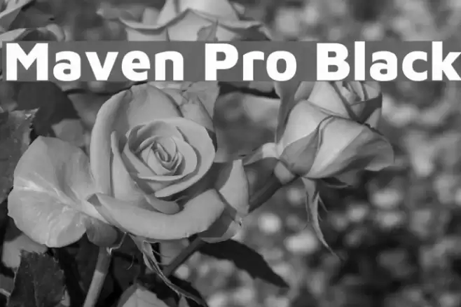Maven Pro Black Font examples