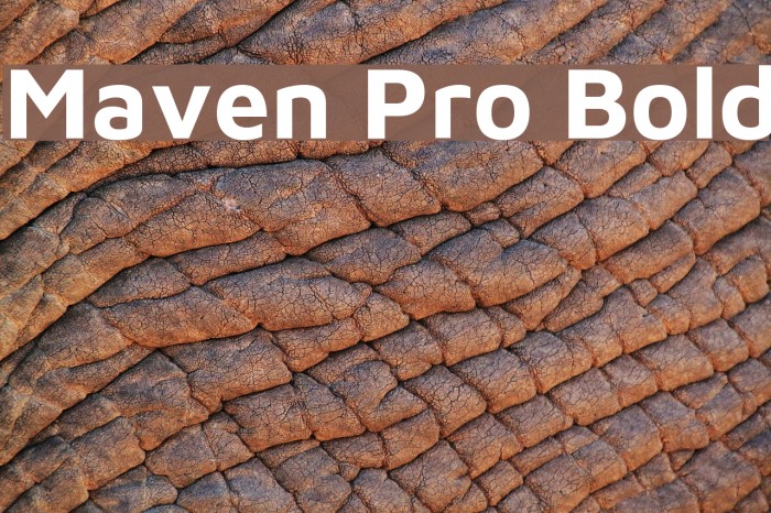 Maven Pro Bold Font examples