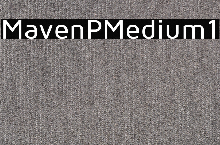 Maven Pro Medium1 Example 2