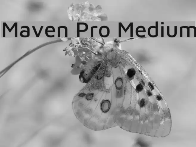 Maven Pro Medium Font examples
