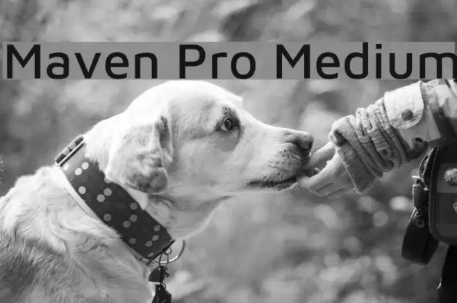 Maven Pro Medium Font examples