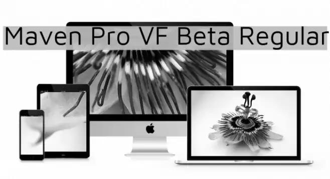 Maven Pro VF Beta Regular Fonte examples