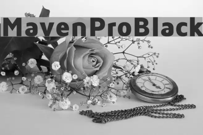 MavenProBlack Font examples