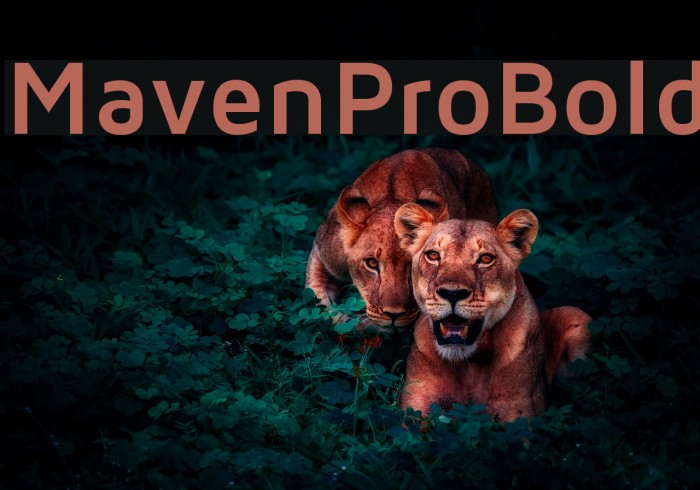 MavenProBold Font examples