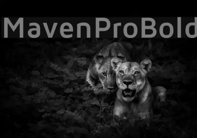 MavenProBold Font examples