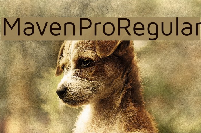 MavenProRegular Font examples