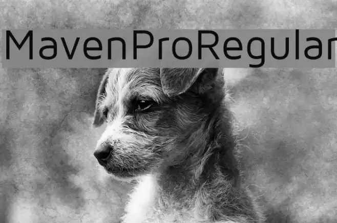 MavenProRegular Font examples