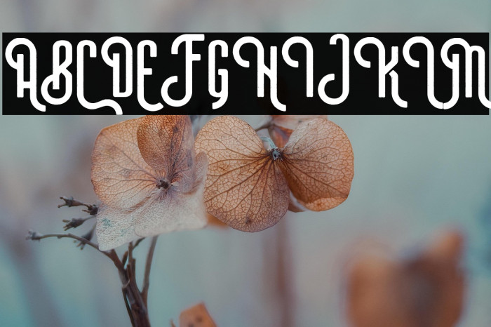 MaveraDemo-Brush Example 3