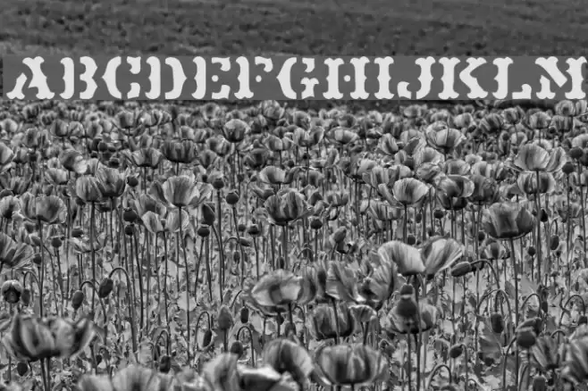 Maverick JL Font examples