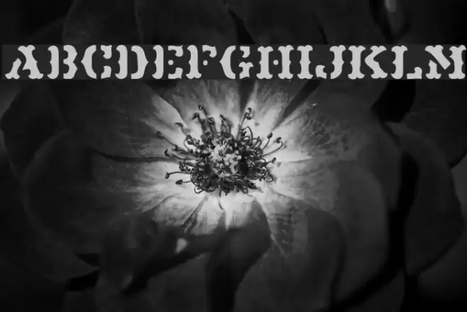 Maverick JL Font examples