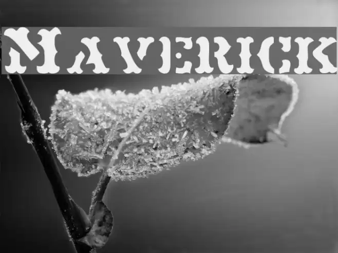 Maverick Font examples