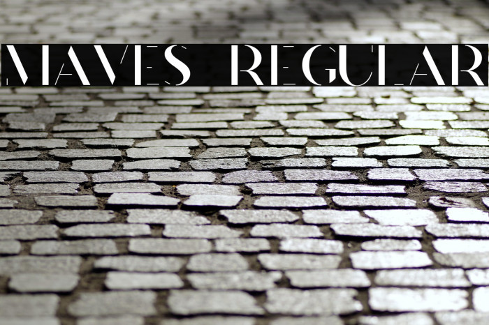 Maves  Regular Example 1