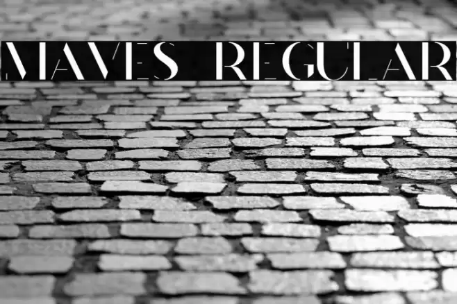 Maves  Regular Font examples
