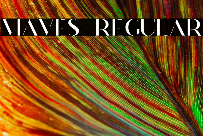 Maves  Regular Example 2