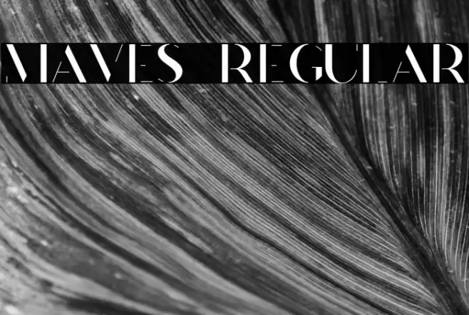 Maves  Regular Font examples