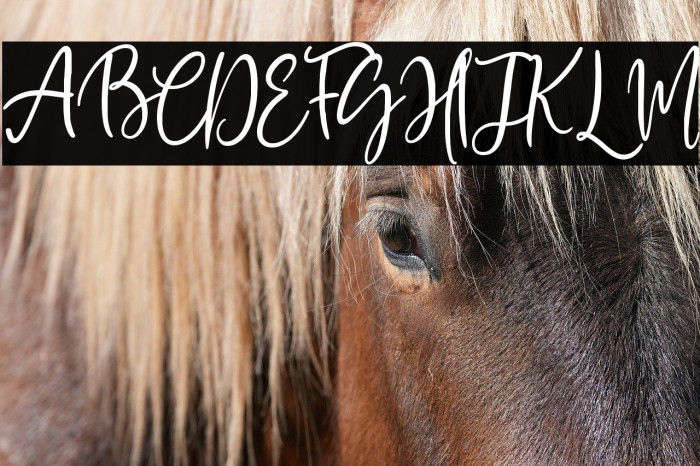 Mawar Merah Example 2