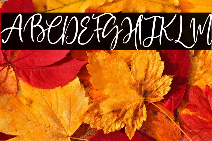 Mawar Merah Example 3