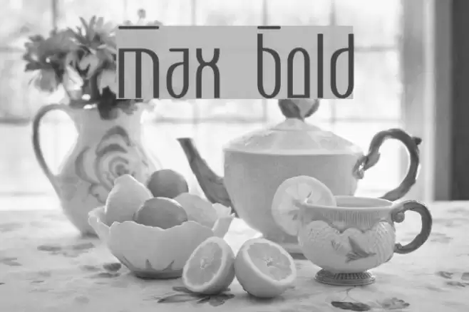 Max  Bold Font examples