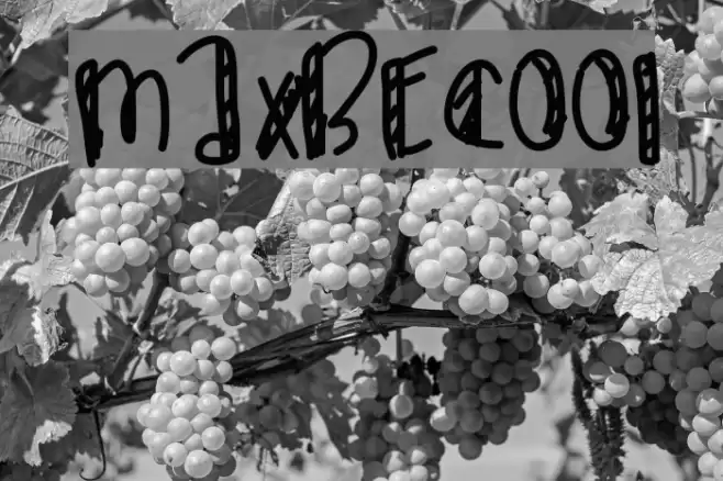 MaxBeCool Font examples