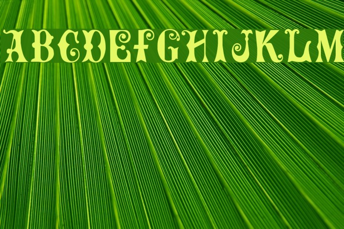 MaxCircus Font examples