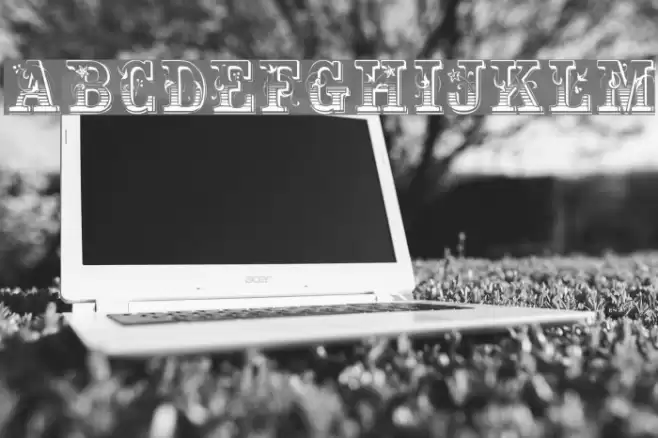 MaxInitiale Font examples