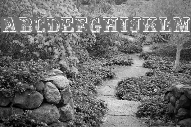 MaxInitiale Font examples