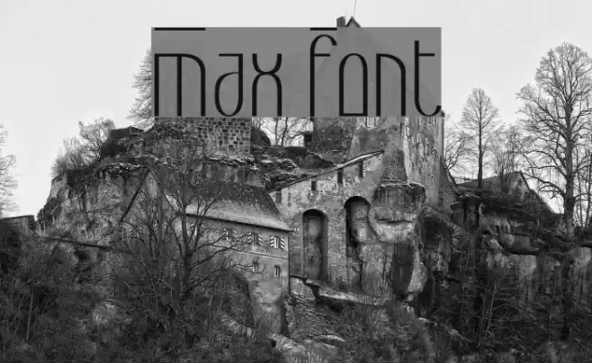 Max Font examples
