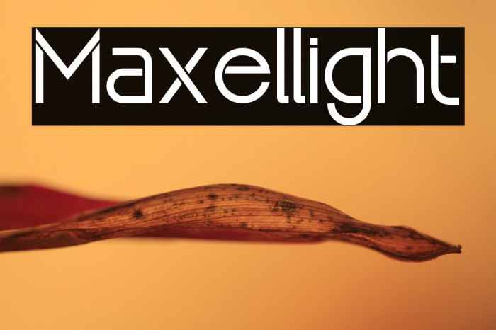 Maxellight Example 2