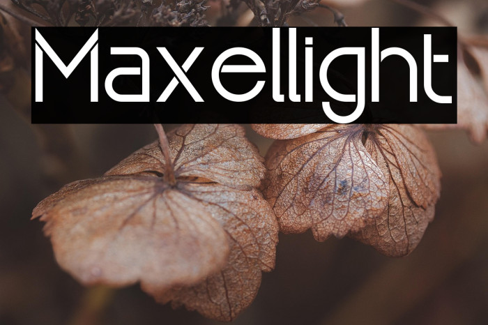 Maxellight Example 3