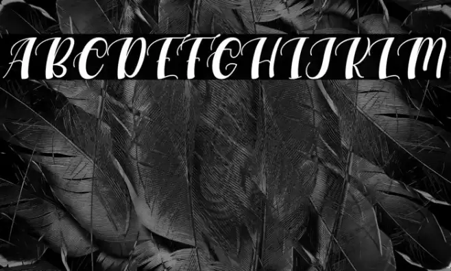 Maxeva Font examples