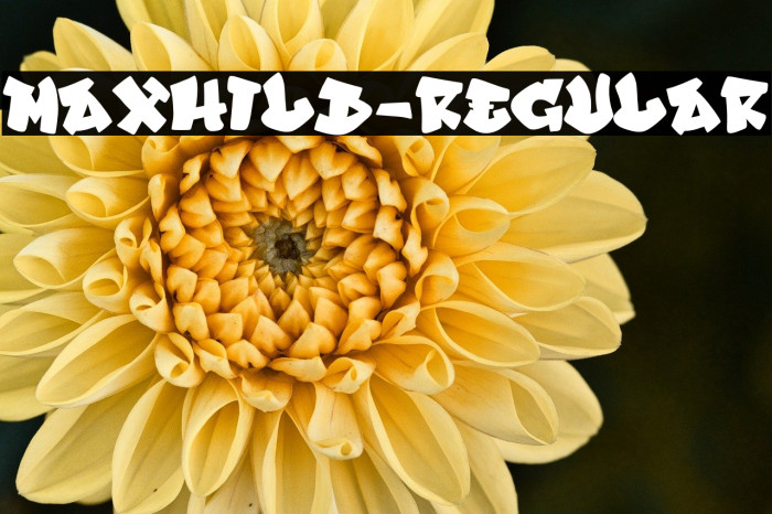 Maxhild-Regular Example 1