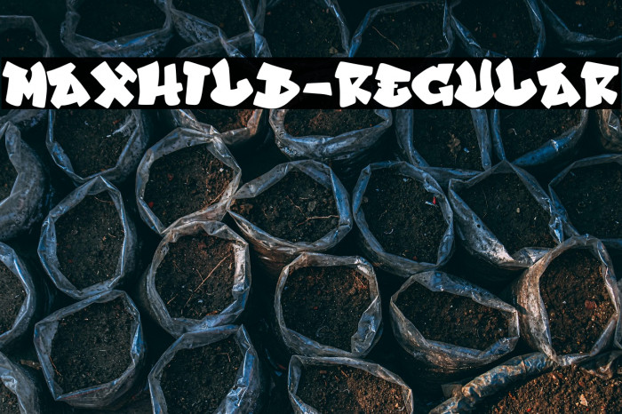 Maxhild-Regular Example 2