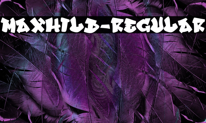 Maxhild-Regular Example 3