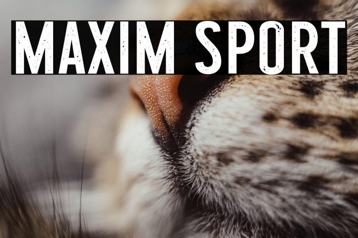 Maxim Sport Example 1