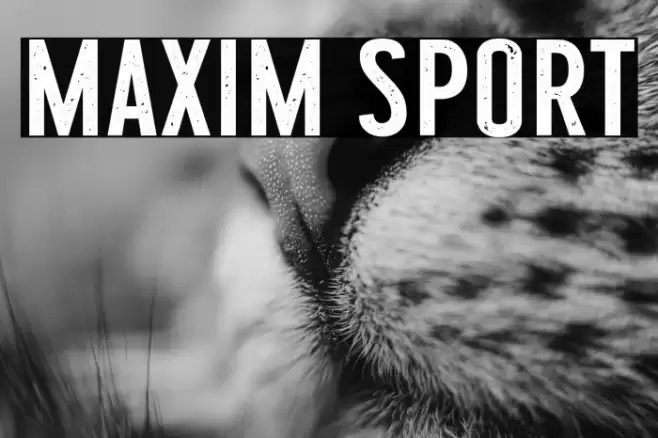 Maxim Sport Font examples