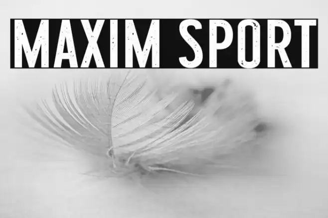 Maxim Sport Font examples