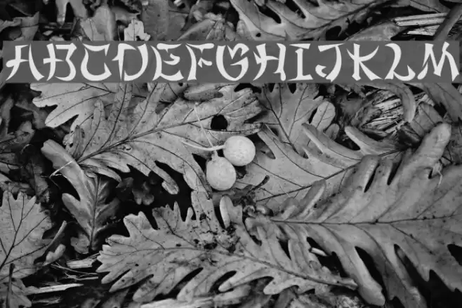 MaximageGimbadong Font examples