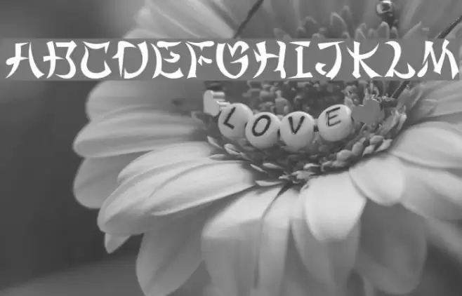 MaximageGimbadong Font examples