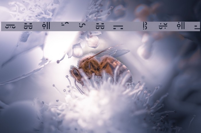 Maximal Text Example 1