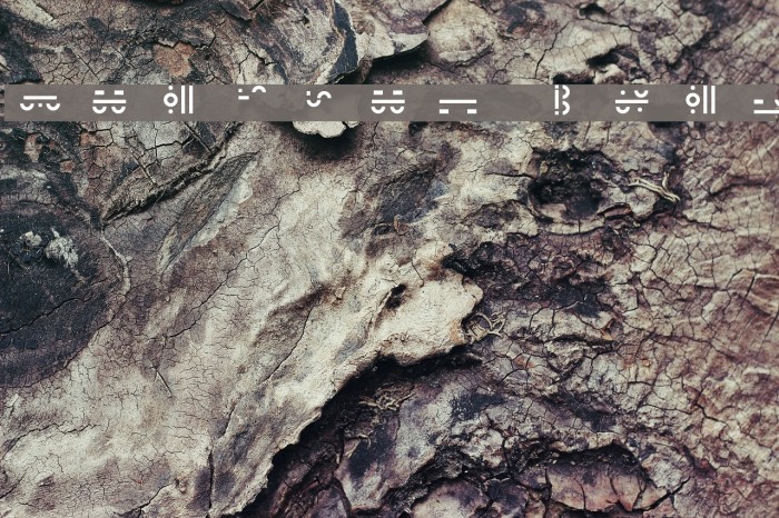 Maximal Text Example 2