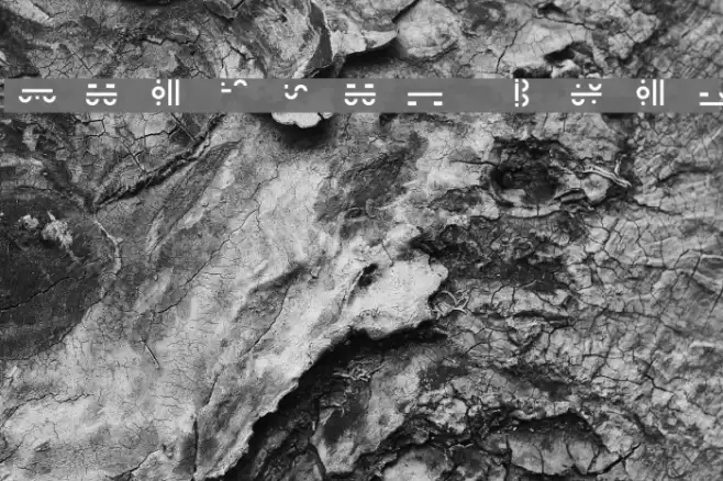 Maximal Text Font examples