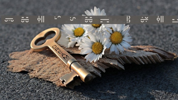 Maximal Text Example 3