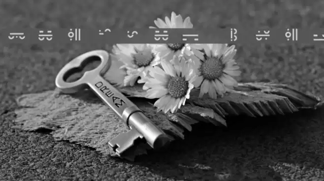 Maximal Text Font examples