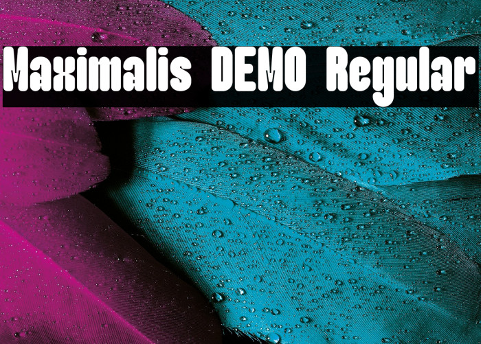 Maximalis DEMO Regular 字体 examples