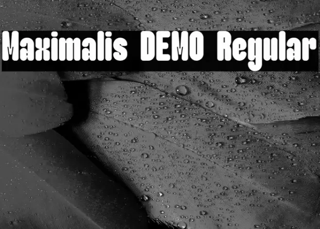 Maximalis DEMO Regular خط examples