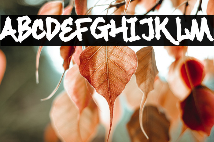 Maximback Distressed Example 1