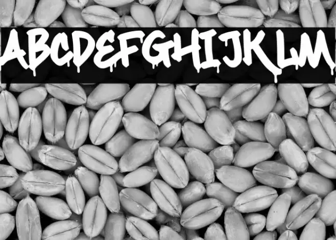 Maximback Drips Font examples