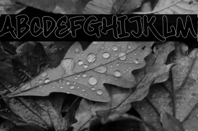 Maximback Outline Font examples